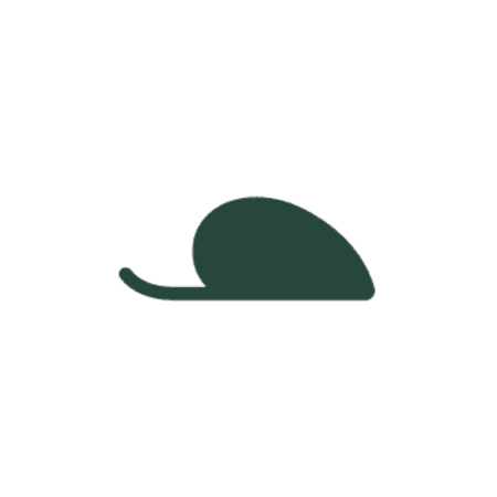 Voles
