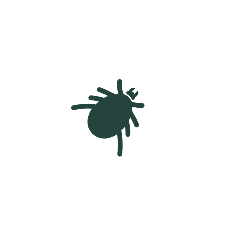 Ticks
