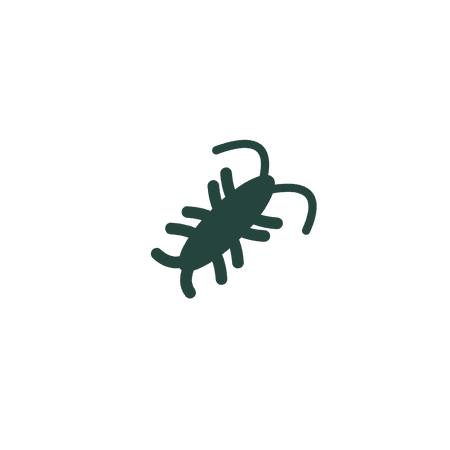 Silverfish
