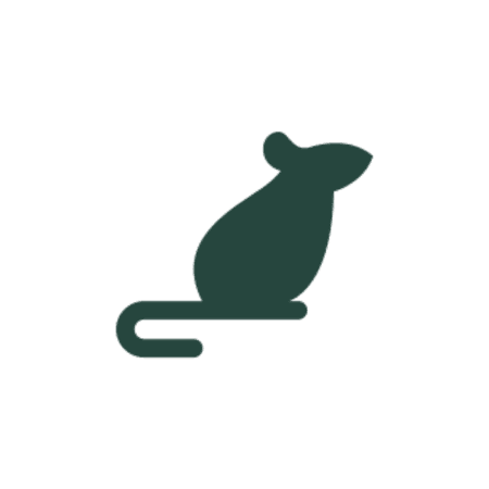 Mice
