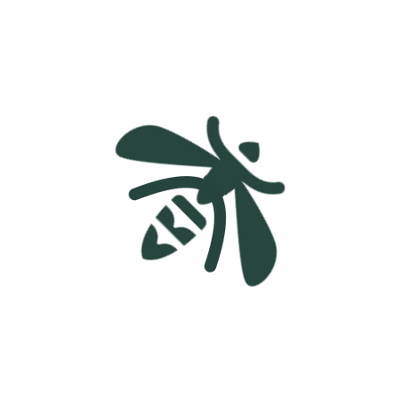 Wasps

