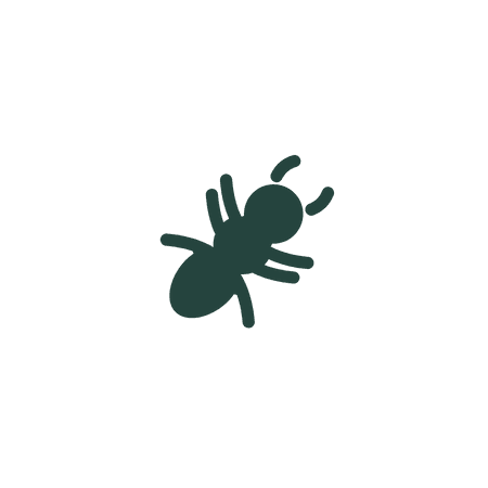 Termites
