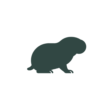 Gophers
